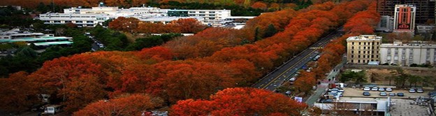 tehran area 6